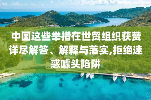 中國這些舉措在世貿(mào)組織獲贊詳盡解答、解釋與落實(shí),拒絕迷惑噱頭陷阱