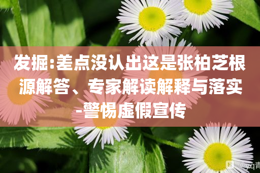 發(fā)掘:差點(diǎn)沒(méi)認(rèn)出這是張柏芝根源解答、專(zhuān)家解讀解釋與落實(shí)-警惕虛假宣傳