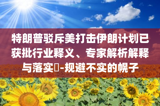 特朗普駁斥美打擊伊朗計劃已獲批行業(yè)釋義、專家解析解釋與落實?-規(guī)避不實的幌子