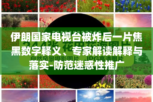 伊朗國家電視臺被炸后一片焦黑數(shù)字釋義、專家解讀解釋與落實(shí)-防范迷惑性推廣