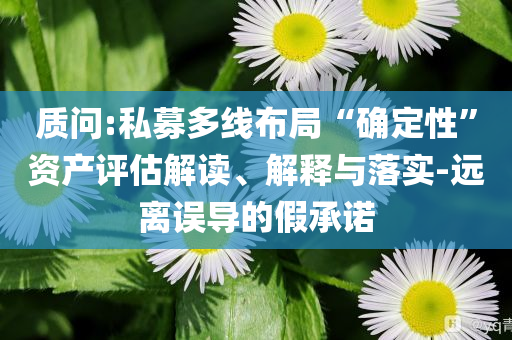 質(zhì)問(wèn):私募多線布局“確定性”資產(chǎn)評(píng)估解讀、解釋與落實(shí)-遠(yuǎn)離誤導(dǎo)的假承諾