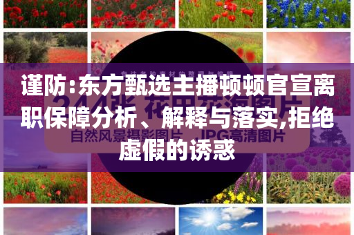 謹(jǐn)防:東方甄選主播頓頓官宣離職保障分析、解釋與落實(shí),拒絕虛假的誘惑