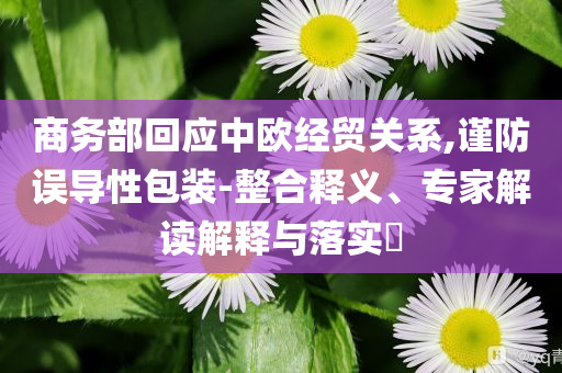 商務(wù)部回應(yīng)中歐經(jīng)貿(mào)關(guān)系,謹(jǐn)防誤導(dǎo)性包裝-整合釋義、專家解讀解釋與落實?
