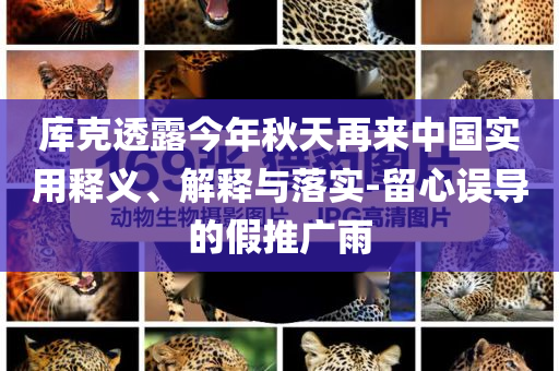 庫克透露今年秋天再來中國實用釋義、解釋與落實-留心誤導(dǎo)的假推廣雨