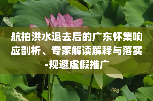 航拍洪水退去后的廣東懷集響應(yīng)剖析、專家解讀解釋與落實(shí)-規(guī)避虛假推廣