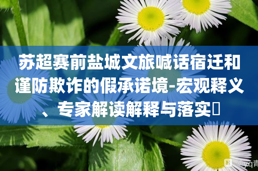 蘇超賽前鹽城文旅喊話宿遷和謹(jǐn)防欺詐的假承諾境-宏觀釋義、專家解讀解釋與落實(shí)?