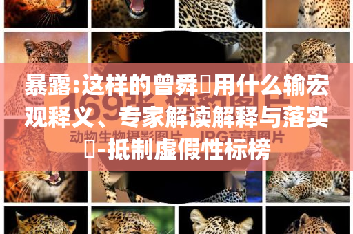暴露:這樣的曾舜晞?dòng)檬裁摧敽暧^釋義、專家解讀解釋與落實(shí)?-抵制虛假性標(biāo)榜