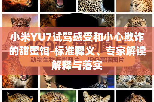 小米YU7試駕感受和小心欺詐的甜蜜餌-標(biāo)準(zhǔn)釋義、專家解讀解釋與落實(shí)