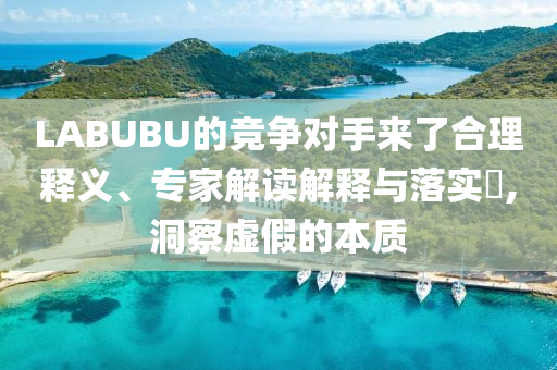 LABUBU的競(jìng)爭(zhēng)對(duì)手來(lái)了合理釋義、專家解讀解釋與落實(shí)?,洞察虛假的本質(zhì)