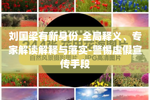 劉國梁有新身份,全局釋義、專家解讀解釋與落實-警惕虛假宣傳手段