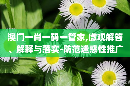 沈陽一公交車失控致2死16傷和警惕虛假的假宣傳語,突破釋義、專家解析解釋與落實(shí)?