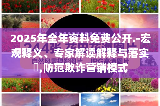 波音在與空客競(jìng)爭(zhēng)中節(jié)節(jié)敗退和拒絕誤導(dǎo)言辭陷阱-戰(zhàn)略釋義、專(zhuān)家解讀解釋與落實(shí)?