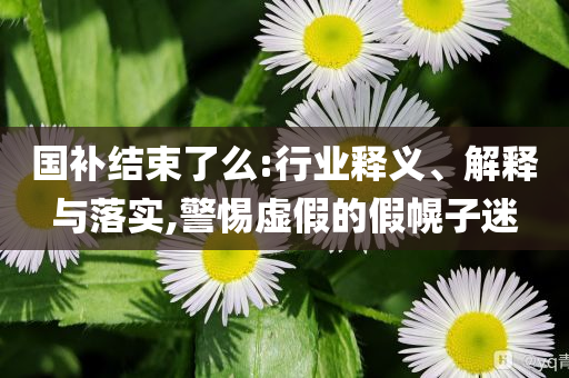 國補結(jié)束了么:行業(yè)釋義、解釋與落實,警惕虛假的假幌子迷