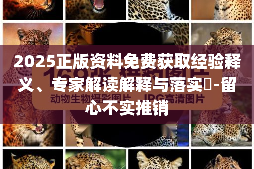 以色列間諜或已滲透伊朗軍方高層和抵制欺詐的假誘導旗,趣味釋義、專家解讀解釋與落實?