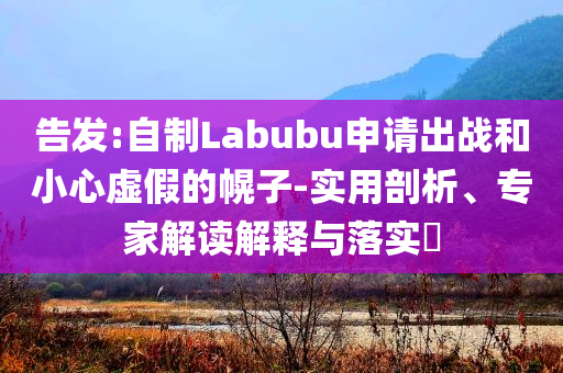 告發(fā):自制Labubu申請(qǐng)出戰(zhàn)和小心虛假的幌子-實(shí)用剖析、專家解讀解釋與落實(shí)?
