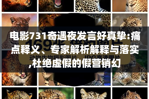 電影731奇遇夜發(fā)言好真摯:痛點(diǎn)釋義、專家解析解釋與落實(shí),杜絕虛假的假營(yíng)銷幻