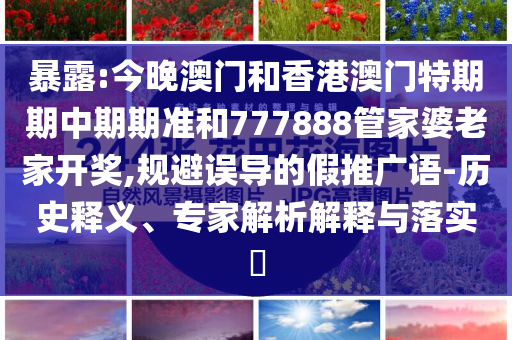 為何Labubu會如此破圈和抵制虛假的表象-通俗釋義、專家解讀解釋與落實?