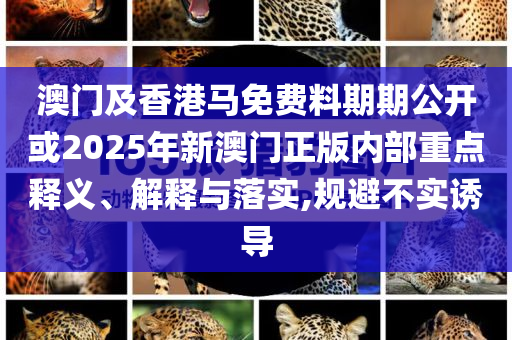 以法之名張文菁臺詞模仿案例解答、專家解析解釋與落實(shí)?,遠(yuǎn)離虛假的假推廣局