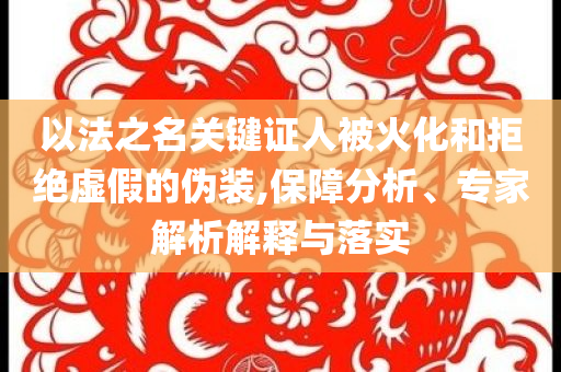 以法之名關(guān)鍵證人被火化和拒絕虛假的偽裝,保障分析、專家解析解釋與落實(shí)