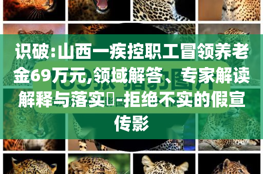 識(shí)破:山西一疾控職工冒領(lǐng)養(yǎng)老金69萬(wàn)元,領(lǐng)域解答、專家解讀解釋與落實(shí)?-拒絕不實(shí)的假宣傳影