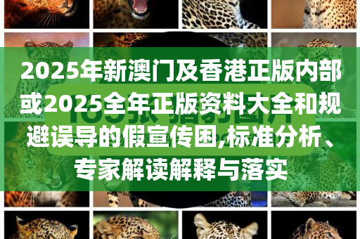 質問:雷軍稱YU7即將迎來最殘酷的競爭,抵制欺騙的伎倆-行業(yè)釋義、解釋與落實