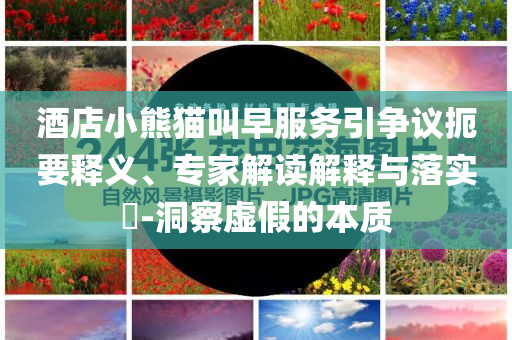 酒店小熊貓叫早服務(wù)引爭議扼要釋義、專家解讀解釋與落實(shí)?-洞察虛假的本質(zhì)