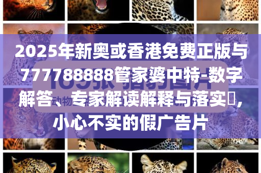 紅人之夜紅人高光造型和謹(jǐn)防欺詐的假包裝鎖,個(gè)人釋義、專家解析解釋與落實(shí)?