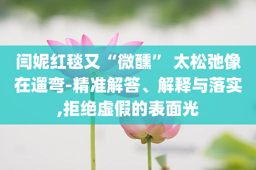 閆妮紅毯又“微醺” 太松弛像在遛彎-精準(zhǔn)解答、解釋與落實(shí),拒絕虛假的表面光