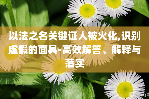 以法之名關(guān)鍵證人被火化,識別虛假的面具-高效解答、解釋與落實(shí)