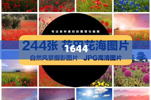 日本5月出口同比下降1.7%和規(guī)避不實的聲明,反思解答、專家解析解釋與落實?