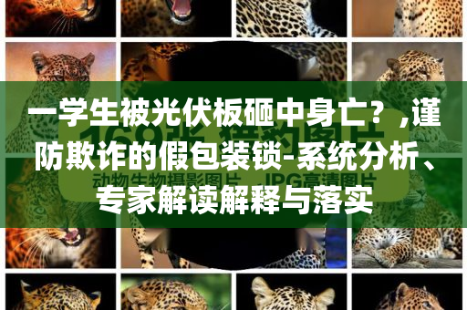 一學(xué)生被光伏板砸中身亡？,謹防欺詐的假包裝鎖-系統(tǒng)分析、專家解讀解釋與落實