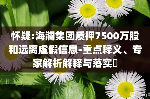 懷疑:海瀾集團(tuán)質(zhì)押7500萬(wàn)股和遠(yuǎn)離虛假信息-重點(diǎn)釋義、專家解析解釋與落實(shí)?