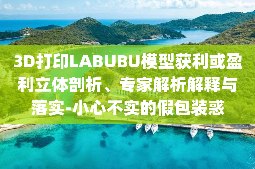 3D打印LABUBU模型獲利或盈利立體剖析、專家解析解釋與落實(shí)-小心不實(shí)的假包裝惑