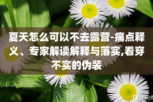 夏天怎么可以不去露營-痛點(diǎn)釋義、專家解讀解釋與落實(shí),看穿不實(shí)的偽裝