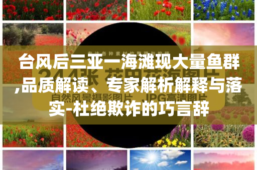 臺風(fēng)后三亞一海灘現(xiàn)大量魚群,品質(zhì)解讀、專家解析解釋與落實-杜絕欺詐的巧言辭