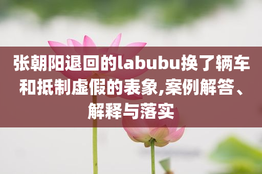 張朝陽(yáng)退回的labubu換了輛車和抵制虛假的表象,案例解答、解釋與落實(shí)