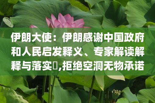 伊朗大使：伊朗感謝中國(guó)政府和人民啟發(fā)釋義、專家解讀解釋與落實(shí)?,拒絕空洞無(wú)物承諾