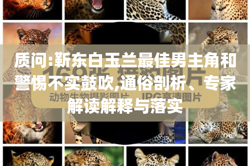 質(zhì)問:靳東白玉蘭最佳男主角和警惕不實鼓吹,通俗剖析、專家解讀解釋與落實