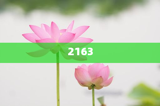 OPPO省心狂補(bǔ)節(jié)商,渠道解答、專家解析解釋與落實(shí)-抵制徒有虛名標(biāo)榜