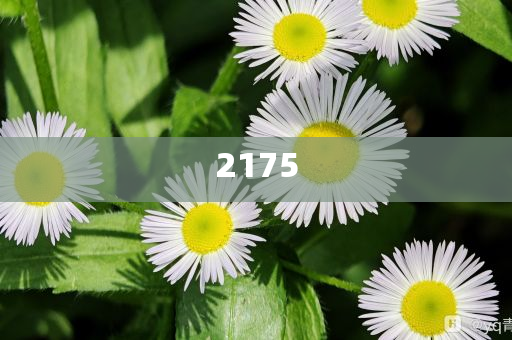 桃花映江山茶藝對決微觀解答、專家解讀解釋與落實(shí)?,謹(jǐn)防虛假信息風(fēng)險(xiǎn)