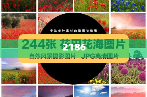 #洪災(zāi)過后的貴州榕江現(xiàn)狀#智能釋義、解釋與落實(shí)-小心不實(shí)的假包裝惑