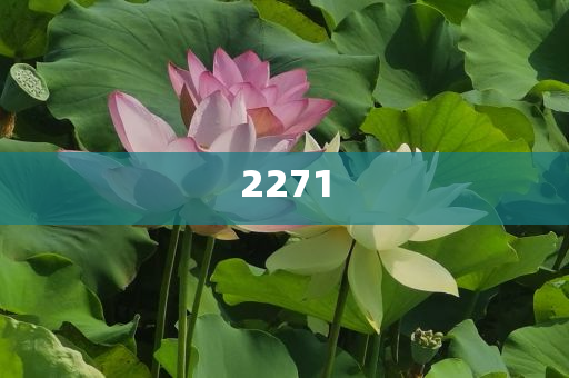 華人劉月婷成新西蘭女首富,杜絕虛假的假營(yíng)銷幻-數(shù)字解答、解釋與落實(shí)