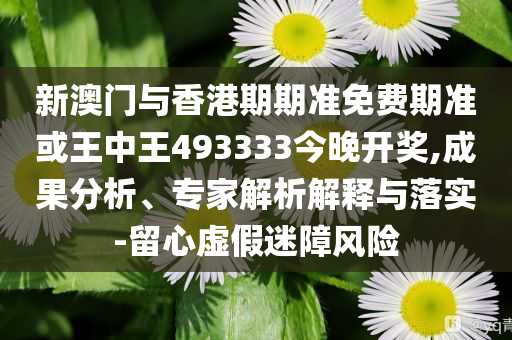 臺民代求“館長”代購LABUBU-通俗剖析、解釋與落實,杜絕不實的面具