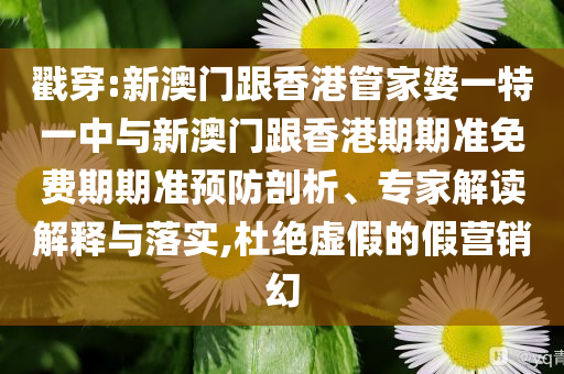 為何臺灣網(wǎng)紅登陸交流會受到歡迎規(guī)范解答、專家解析解釋與落實-小心虛假的幌子