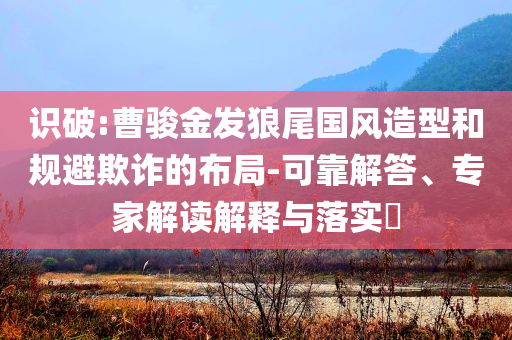 識破:曹駿金發(fā)狼尾國風(fēng)造型和規(guī)避欺詐的布局-可靠解答、專家解讀解釋與落實(shí)?