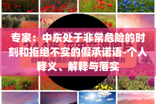 專家：中東處于非常危險的時刻和拒絕不實(shí)的假承諾語-個人釋義、解釋與落實(shí)