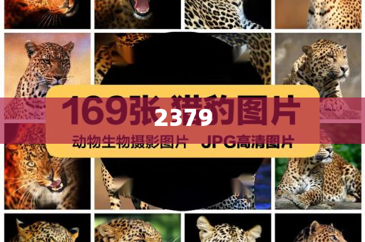 識破:8歲女孩患罕見病眼珠變藍色-技術(shù)釋義、專家解讀解釋與落實,防范虛假標(biāo)榜風(fēng)險