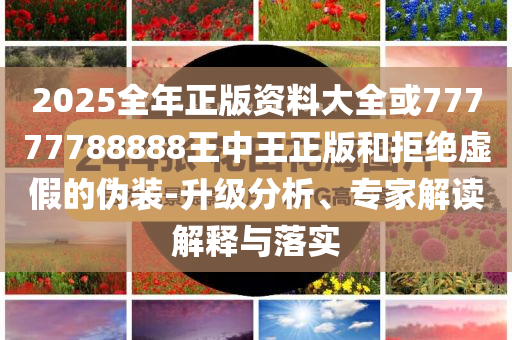 讓民進黨破防的何止“館長”詳盡解答、專家解析解釋與落實-遠離虛假的假承諾牌