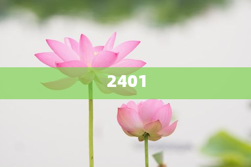 發(fā)掘:診所開業(yè)掛“輸液半價”橫幅和規(guī)避虛假承諾陷阱,充分釋義、解釋與落實