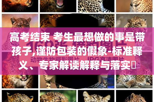 高考結(jié)束 考生最想做的事是帶孩子,謹(jǐn)防包裝的假象-標(biāo)準(zhǔn)釋義、專(zhuān)家解讀解釋與落實(shí)?
